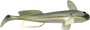 Quantum Specialist "GOBY SHAD"
