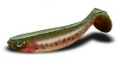Jackson "The Shad" in 20 & 25 cm