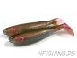 Preview: Jackson "The Shad" - der "Bringer" in 10 cm Länge (2Stck.)