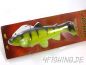 Preview: Castaic Swim Bait "Trout" in 10 inch (25 cm)