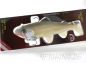 Preview: CASTAIC SWIM BAIT TROUT Series 2.0 by ShadXperts´