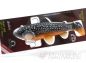 Preview: CASTAIC SWIM BAIT TROUT Series 2.0 by ShadXperts´