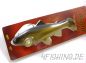 Preview: Castaic Swim Bait "Trout" in 10 inch (25 cm)