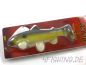 Preview: Castaic Swim Bait "Trout" in 8 inch (20 cm)