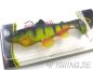 Preview: Castaic Swim Bait "Trout" in 8 inch (20 cm)