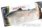 Preview: Castaic Swim Bait "Trout" in 8 inch (20 cm)