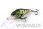 Preview: HYBRIDA C4T DEEP CRANKBAIT - der ultimative Barschverführer!!!