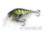 Preview: HYBRIDA C4T SHALLOW CRANKBAIT - der ultimative Barschverführer!!!