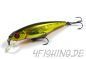 Preview: Pontoon 21 Greedy Guts 77SP-SR - der Allrounder!!!