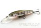Preview: Pontoon 21 Greedy Guts 66SP-MDR - Topwobbler auf Barsch und Forelle