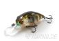 Preview: Pontoon 21 TABA TAO 50 F-MDR  - Der fette Fänger für´s Mittelwasser!!!