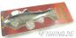 Preview: Castaic Swim Bait "Trout" in 8 inch (20 cm)