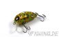 Preview: Lucky John Haira Tiny Shallow Pilot 33 F - Farbcode 504