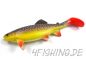 Preview: Jackson "The Trout" in 23 cm, is die echt???