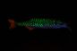 Preview: MARD REAP - HYBRID SWIMBAITS LIMITED EDITION - die Fangmaschine in ESOX (versch. Größen)