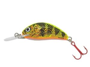 Der Salmo Hornet in 2,5 cm (sinking) - der Miniwobbler, der fängt!!!