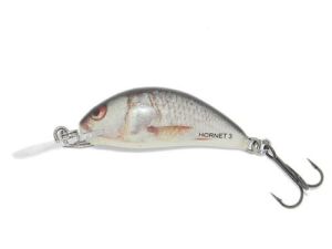 Der Salmo Hornet in 2,5 cm (sinking) - der Miniwobbler, der fängt!!!
