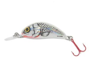 Der Salmo Hornet in 2,5 cm (sinking) - der Miniwobbler, der fängt!!!