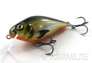 HYBRIDA C4BT SHALLOW - CRANK FOR BIG TANK, der Crankbait der Extraklasse