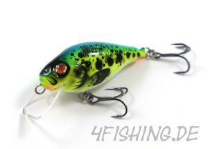 HYBRIDA C4T SHALLOW CRANKBAIT - der ultimative Barschverführer!!!