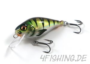 HYBRIDA C4T SHALLOW CRANKBAIT - der ultimative Barschverführer!!!