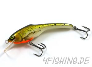 Monarch Dok Dok 12 Flachläufer ROACH