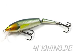 Monarch Dok Una shallow, der Topwobbler in EITEL