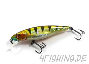 Pontoon 21 Greedy Guts 77SP-SR - der Allrounder!!!