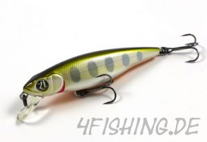 Pontoon 21 Greedy Guts 77SP-SR - der Allrounder!!!