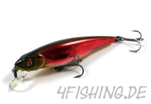 Pontoon 21 Greedy Guts 77SP-SR - der Allrounder!!!