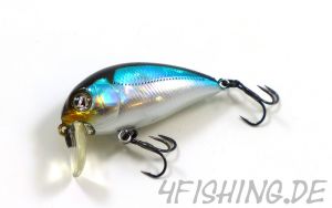 Pontoon 21 HYPNOSE 38F - SSR - der kleine Highendwobbler als Superflachläufer