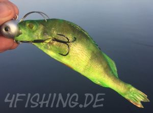 PRO-CURE BRINE N BITE COMPLETE - Fische einfärben leicht gemacht, mit UV-Boost!!!