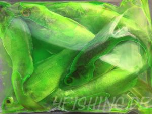 PRO-CURE BRINE N BITE COMPLETE - Fische einfärben leicht gemacht, mit UV-Boost!!!