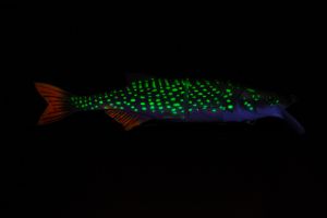 MARD REAP - HYBRID SWIMBAITS LIMITED EDITION - die Fangmaschine in ESOX (versch. Größen)