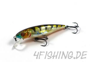 Pontoon 21 Greedy Guts 55SP-SR - Topwobbler auf Barsch und Forelle