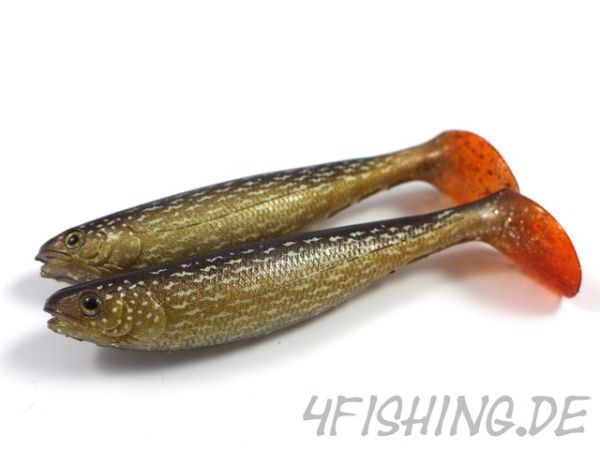 Jackson "The Shad" - der "Bringer" in 10 cm Länge (2Stck.)