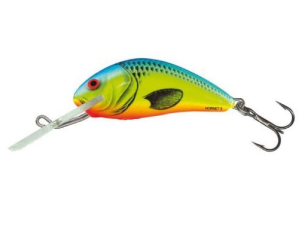 Der Salmo Hornet in 2,5 cm (sinking) - der Miniwobbler, der fängt!!!