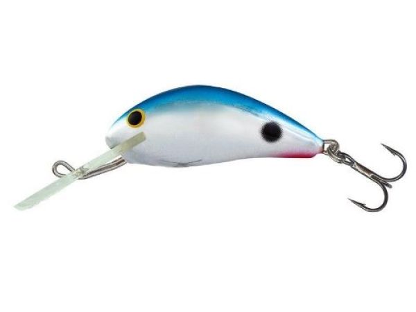 Der Salmo Hornet in 2,5 cm (sinking) - der Miniwobbler, der fängt!!!