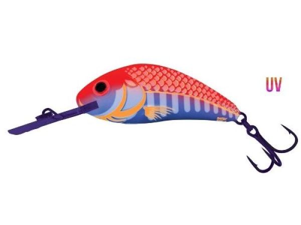 Der Salmo Hornet in 2,5 cm (sinking) - der Miniwobbler, der fängt!!!