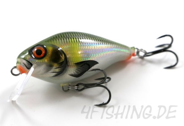 HYBRIDA C4BT SHALLOW - CRANK FOR BIG TANK, der Crankbait der Extraklasse