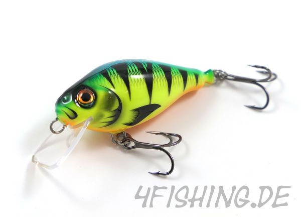 HYBRIDA C4T SHALLOW CRANKBAIT - der ultimative Barschverführer!!!