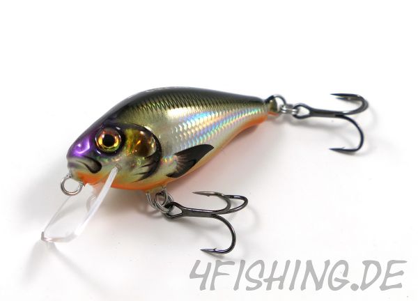 HYBRIDA C4T SHALLOW CRANKBAIT - der ultimative Barschverführer!!!