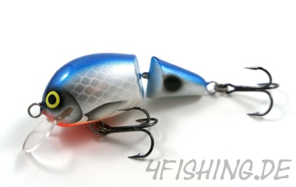 Monarch Dok MOBY 10 FLACHLÄUFER - BLUE STRIKE