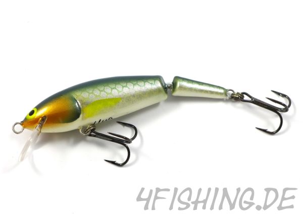 Monarch Dok Una shallow, der Topwobbler in EITEL
