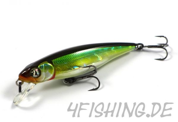 Pontoon 21 Greedy Guts 77SP-SR - der Allrounder!!!