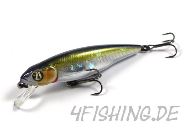 Pontoon 21 Greedy Guts 77SP-SR - der Allrounder!!!