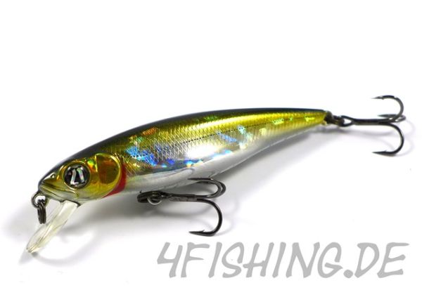 Pontoon 21 Greedy Guts 77SP-SR - der Allrounder!!!