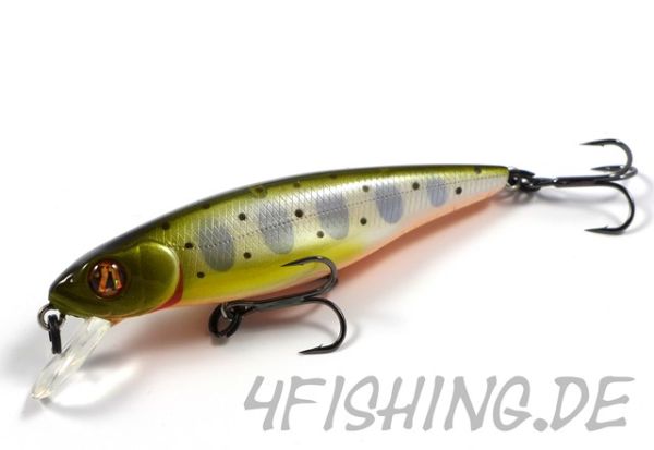 Pontoon 21 Greedy Guts 77SP-SR - der Allrounder!!!