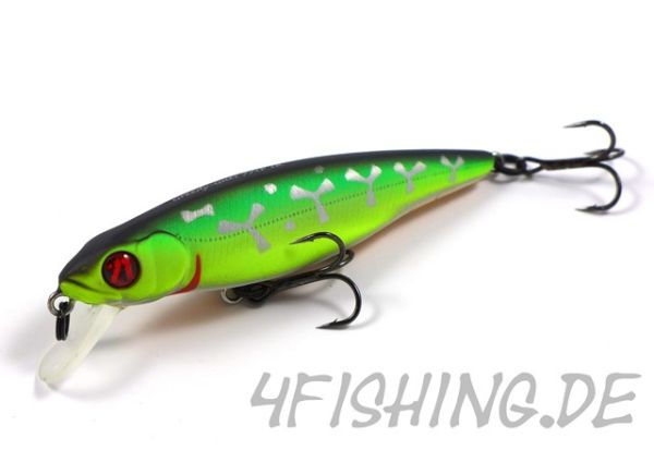 Pontoon 21 Greedy Guts 77SP-SR - der Allrounder!!!