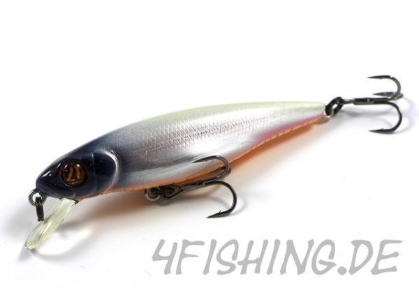 Pontoon 21 Greedy Guts 77SP-SR - der Allrounder!!!